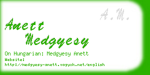anett medgyesy business card